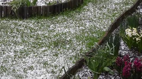 Kwiecień plecień(+3) krupa śnieżna z deszczem