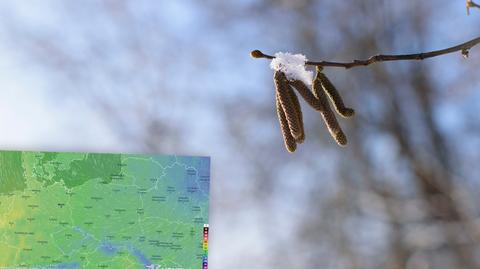 Prognozowana temperatura na najbliższe dni