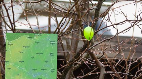 Prognozowana temperatura w kolejnych dniach