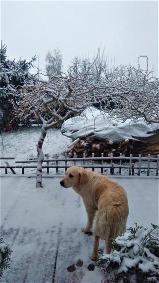 Śnieg na Dolnym Śląsku