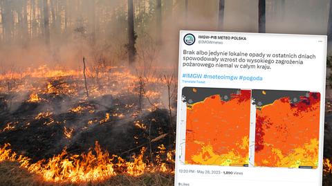 Małopolska to jeden z regionów z największą liczbą pożarów traw w tym sezonie