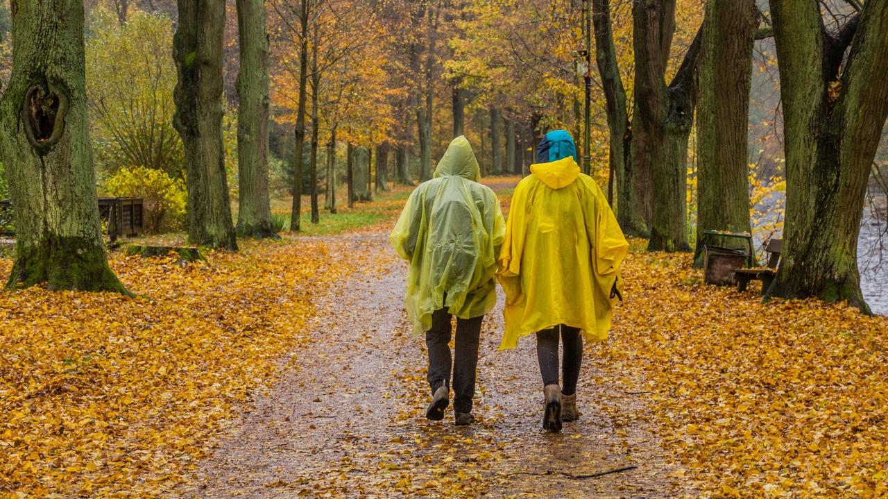 Pogoda na dziś - piątek 24.10. Kto powinien przygotować się na obfite opady