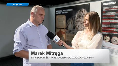 Rozmowa z Markiem Mitręgą, dyrektorem Śląskiego Ogrodu Zoologicznego