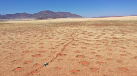 Kręgi w trawie w Namibii zbadali niemieccy naukowcy