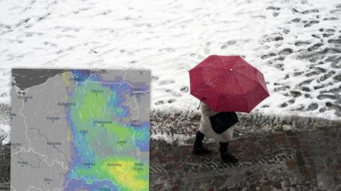 Prognozowana temperatura na kolejne dni