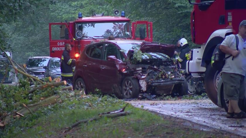 Konar spadł na samochody w województwie dolnośląskim