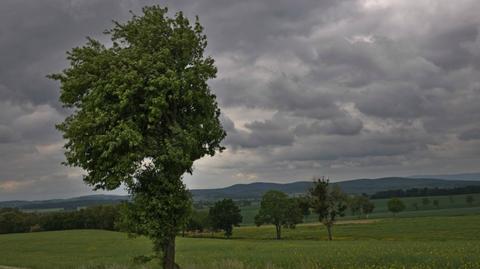 Pogoda na czwartek i prognoza na najbliższe dni