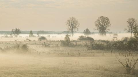 Mgły nad Polską