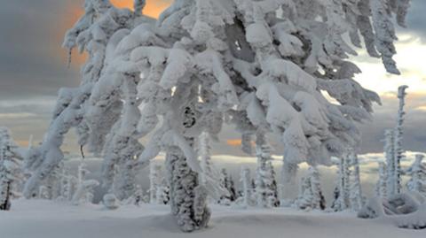 Kowarski Grzbiet w Karkonoszach w śniegu