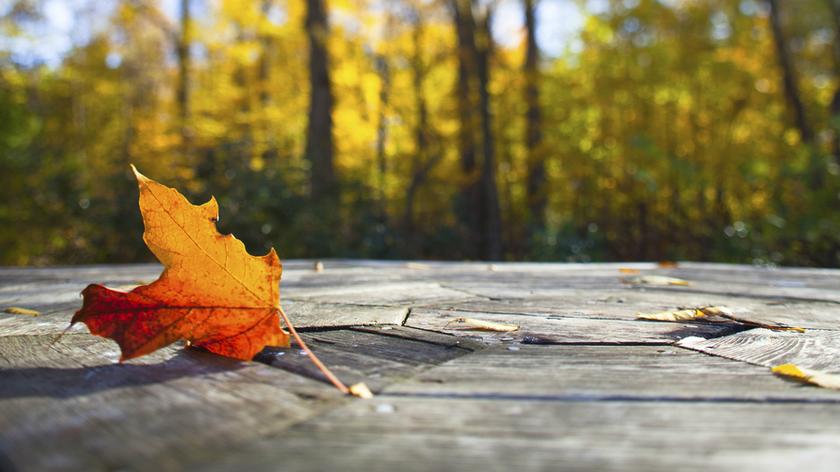 Pogoda na 16 dni: złota jesień z kilkudniową przerwą