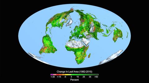 CO2 w atmosferze napędza wzrost roślinności na planecie