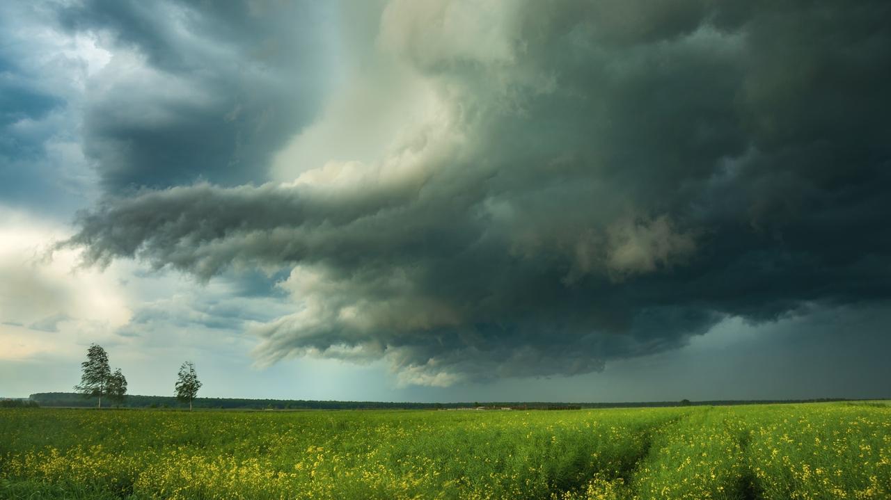 Pogoda Na Jutro Poniedzia Ek Spadnie Du O Deszczu Zagrzmi W Wielu Regionach Tvn Meteo