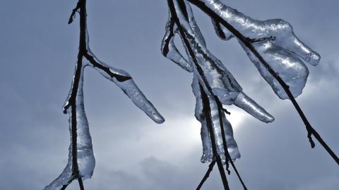 Prognoza pogody TVN Meteo na dzień, 19.01