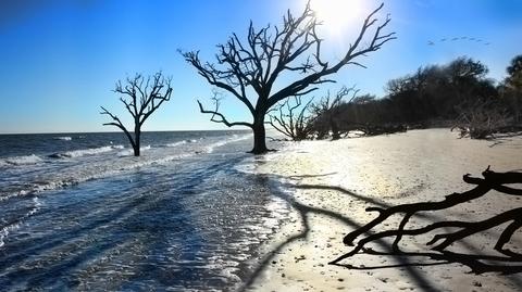 Zmiany klimatu i najcieplejszy rok w historii zdaniem geofizyka