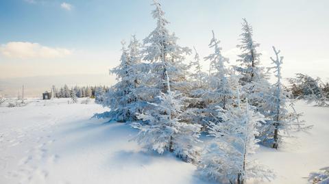 Prognoza pogody dla polskich kurortów narciarskich: Karkonosze i Beskidy