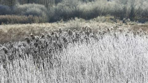 Prognoza pogody na niedzielę 30.03 