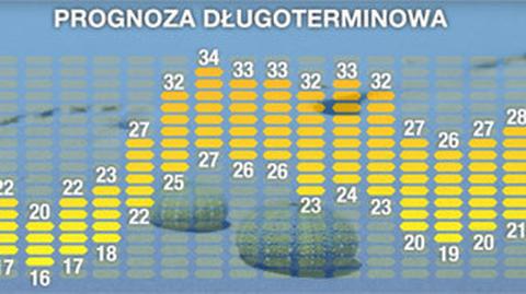 Maja Popielarska o prognozie długoterminowej (TVN Meteo)