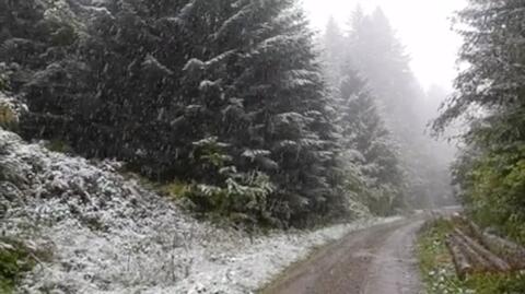 Pierwszy śnieg w Bieszczadach