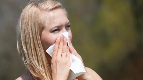 Prognoza dla alergików na niedzielę 10.06