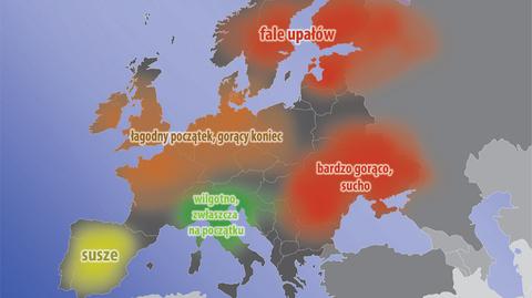 Temperatury powyżej normy, susze i pożary. Tegoroczne lato będzie naprawdę gorące