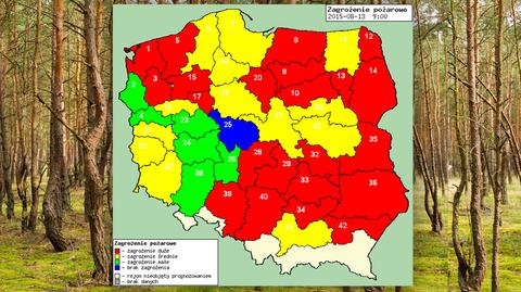 Bardzo zła sytuacja w polskich lasach