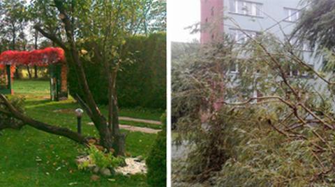 Halny w Małopolsce