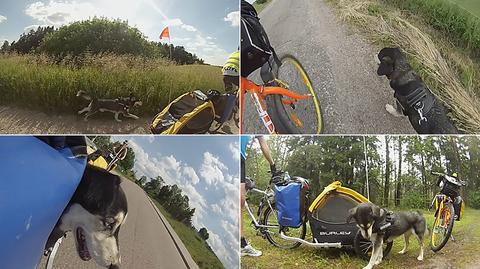 Rowerem z psem - trasa wokół Suwalszczyzny
