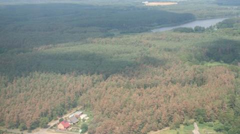 Wielkopolska, Ziemia Łódzka - poważne zniszczenia po burzach