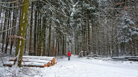 Prognoza pogody na środę