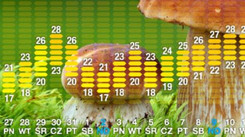 Długoterminowa prognoza pogody (TVN Meteo)