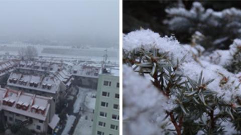 Śnieg spadł w Warszawie (TVN24)