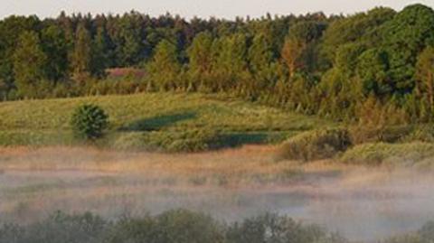 Prognoza pogody TVN Meteo na dzień