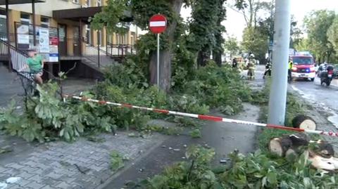 Połamane drzewa w Lubartowie