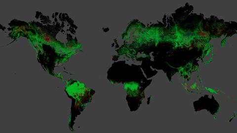 Wycinka lasów: najlepiej widać ją z kosmosu