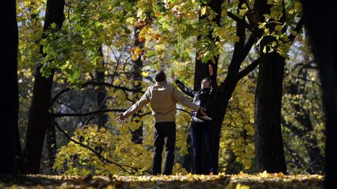 Prognoza pogody na dzień 12.10