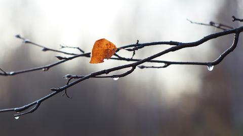 Prognoza pogody na wtorek 4.11