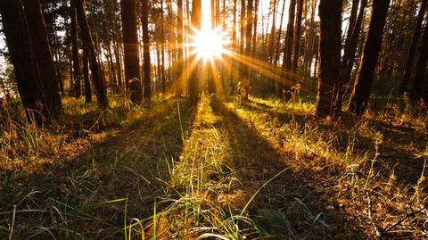 Prognoza pogody na dzień 30.09