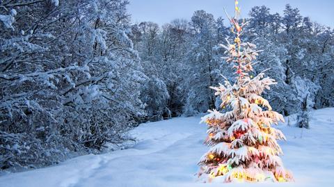 Prognoza pogody na Boże Narodzenie/TVN24