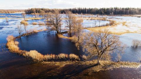 Park Narodowy Soomaa (fot.: Shutterstock | wideo bez dźwięku)