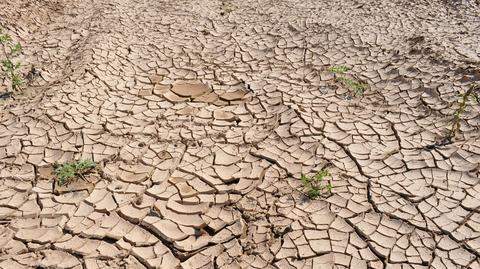 Na zatrzymanie zmian klimatycznych mamy mało czasu