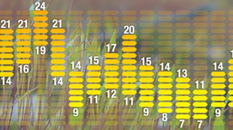 Długoterminowa prognoza pogody (TVN Meteo)