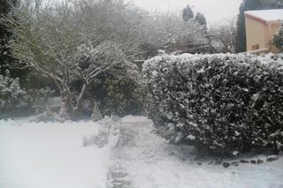 Snieg we Francji:)