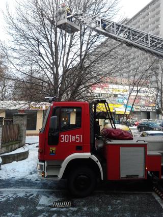 Dzielni Strażacy uratowali kota w centrum Katowic.