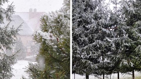 Śnieg na Suwalszczyźnie (TVN24)
