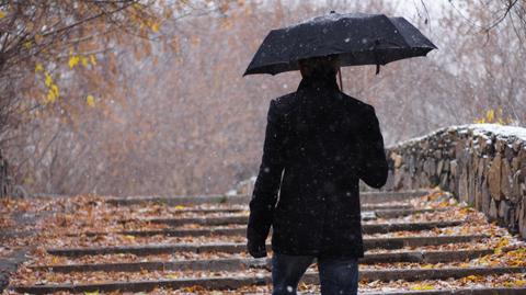 Specjalna prognoza pogody "Meteo News"