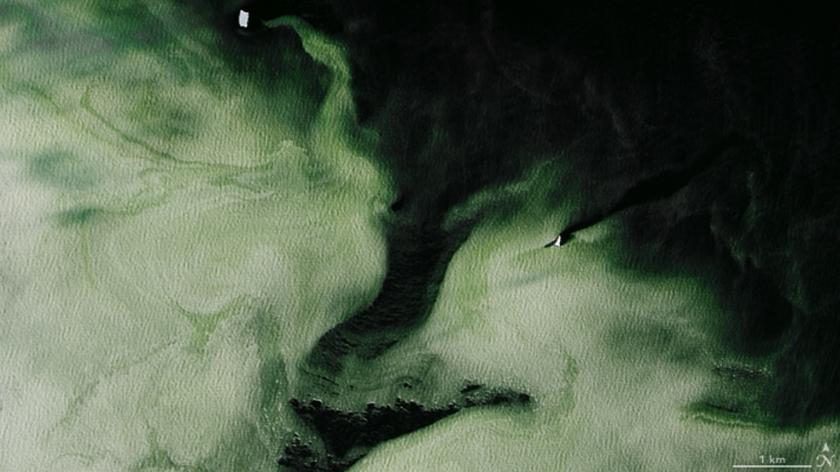 Zielony kolor lodu na Antarktydzie