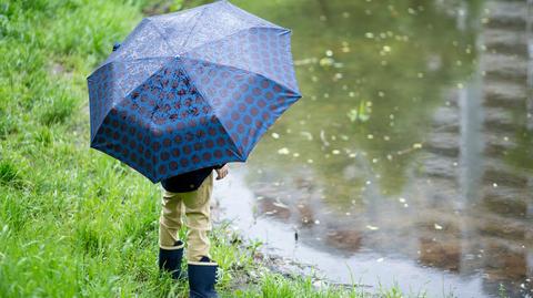 Specjalna prognoza pogody "Meteo News"