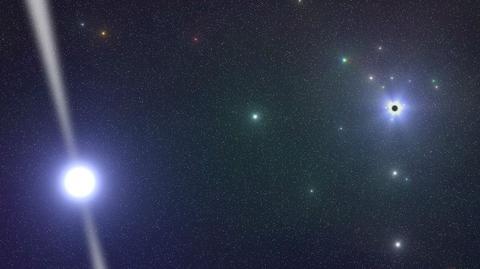 Wyobrażenie artystyczne pulsara