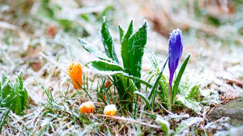 Specjalna prognoza pogody "Meteo News"