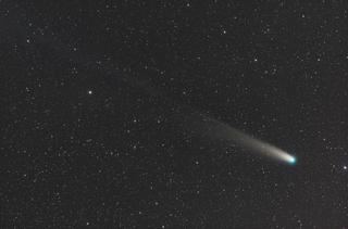 Zajęci przygotowaniami do powitania Nowego Roku nie zauważyliśmy, że na porannym niebie w gwiazdozbiorze Herkulesa Nowy Rok wita z nami przepiękna kometa o wdzięcznej nazwie Lovejoy (C/2013 R1). Rozwinęła kolorowy warkocz pyłowy a głowę przyozdobiła zielono-błękitną czapką. Zdjęcie przedstawia obszar 4 na 2.5 stopnia (1 stopień na niebie to 2 średnice Słońca). Centralna część zdjęcia to punkt o współrzędnych RA 17h 24m  (odpowiednik długości geogr. na niebie) oraz Dec +22° 01' (odpowiednik szerokości geograficznej na niebie). Zdjęcie jest złożeniem 15 pojedyńczych klatek o różnym czasie naświetlania 5 szt każde po 5min. oraz 10 szt po 2,5min. Teleskop o średnicy obiektywu 106mm i ogniskowej 530mm. Detektorem jest pełnoklatkowa kamera astronomiczna firmy SBIG.